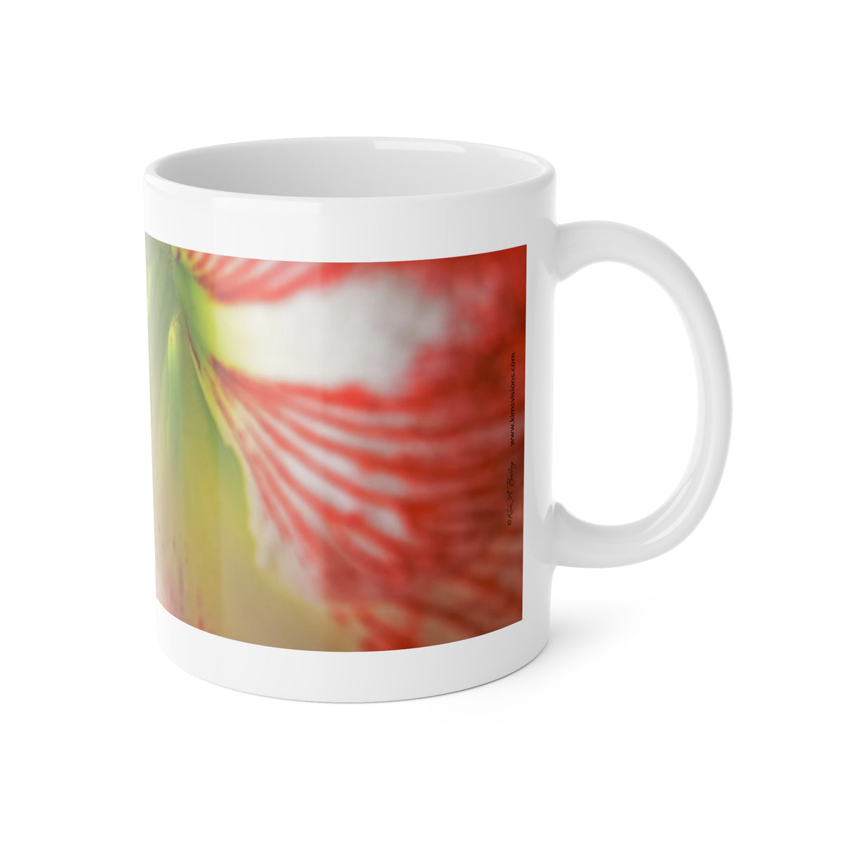 White Ceramic Mug, 11 oz "Amaryllis" by Kim A. Bailey