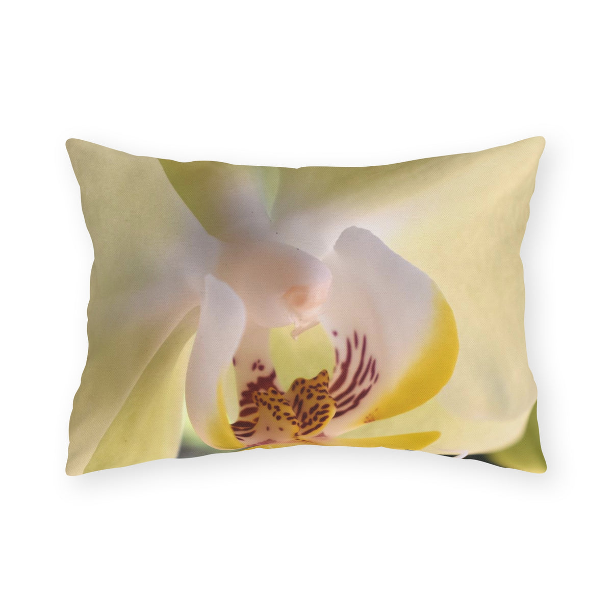 Outdoor Pillow "Green Phalaenopsis Orchid" Choice of 4 sizes