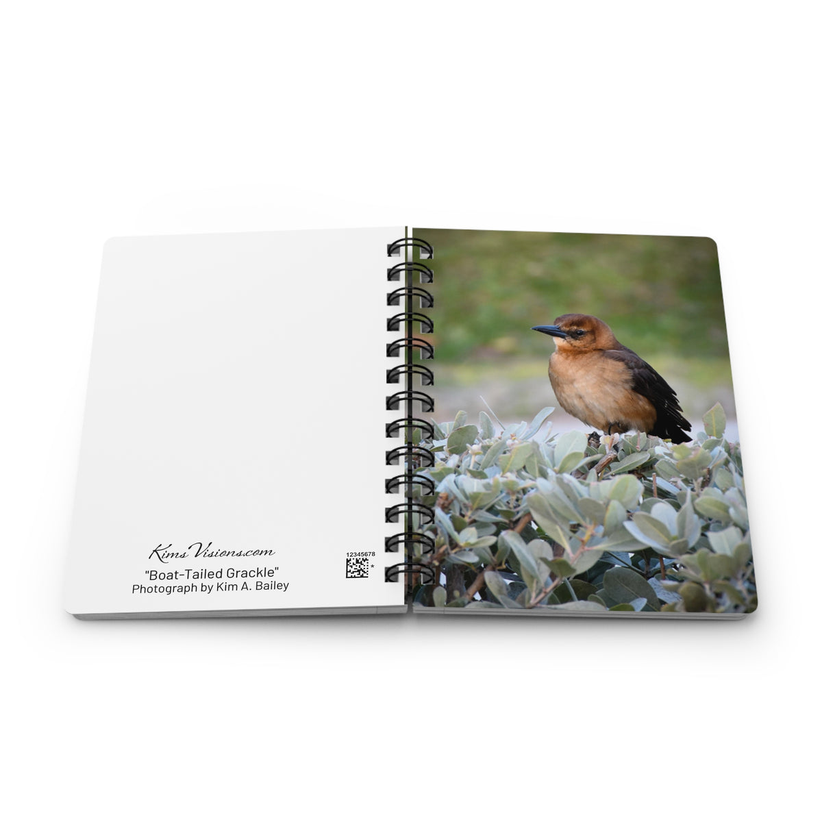 Spiral Notebook "Boat-Tailed Grackle" Photograph by Kim A. Bailey