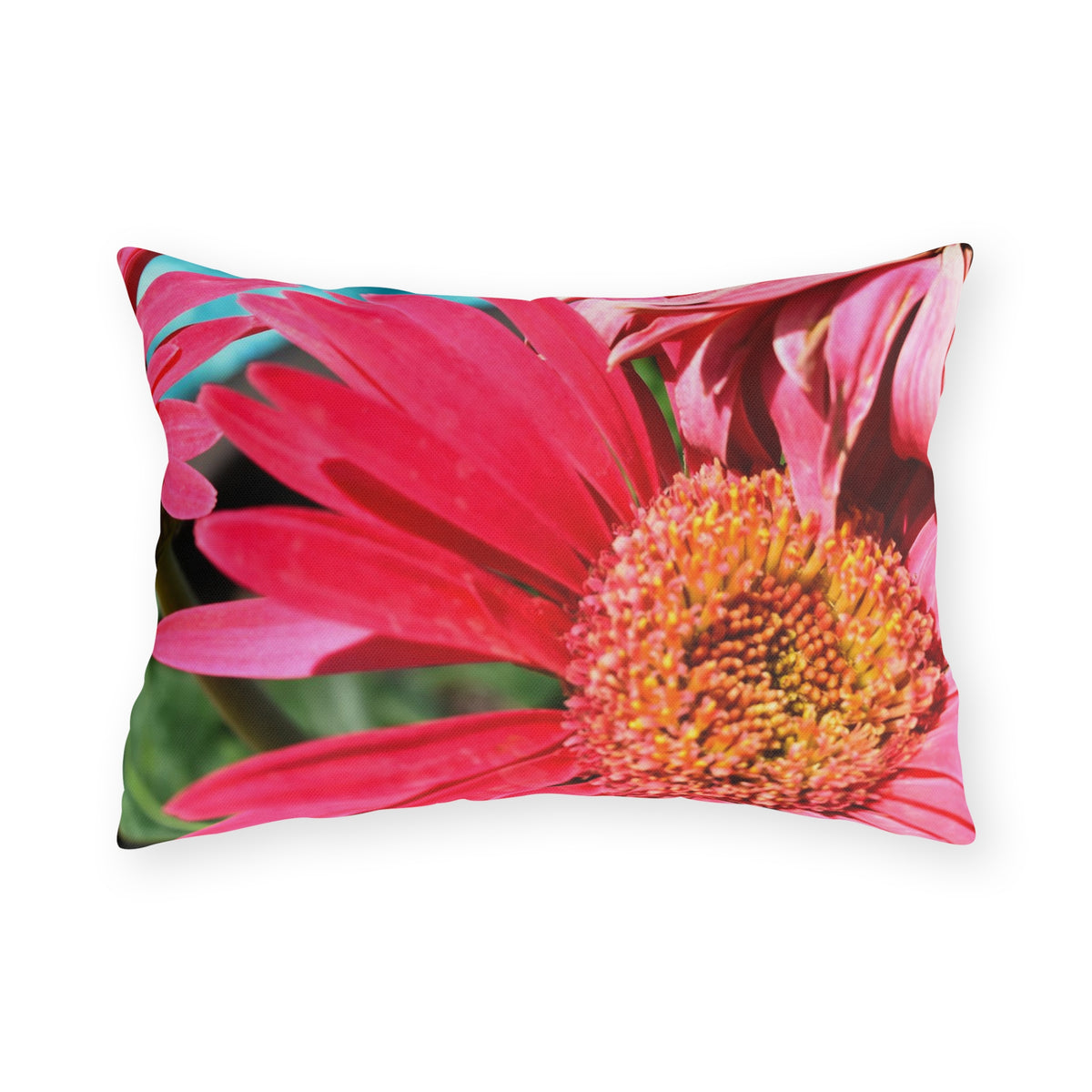 Outdoor Pillow "Pink Daisies" Photograph by Kim A. Baile - Choice of 4 sizes
