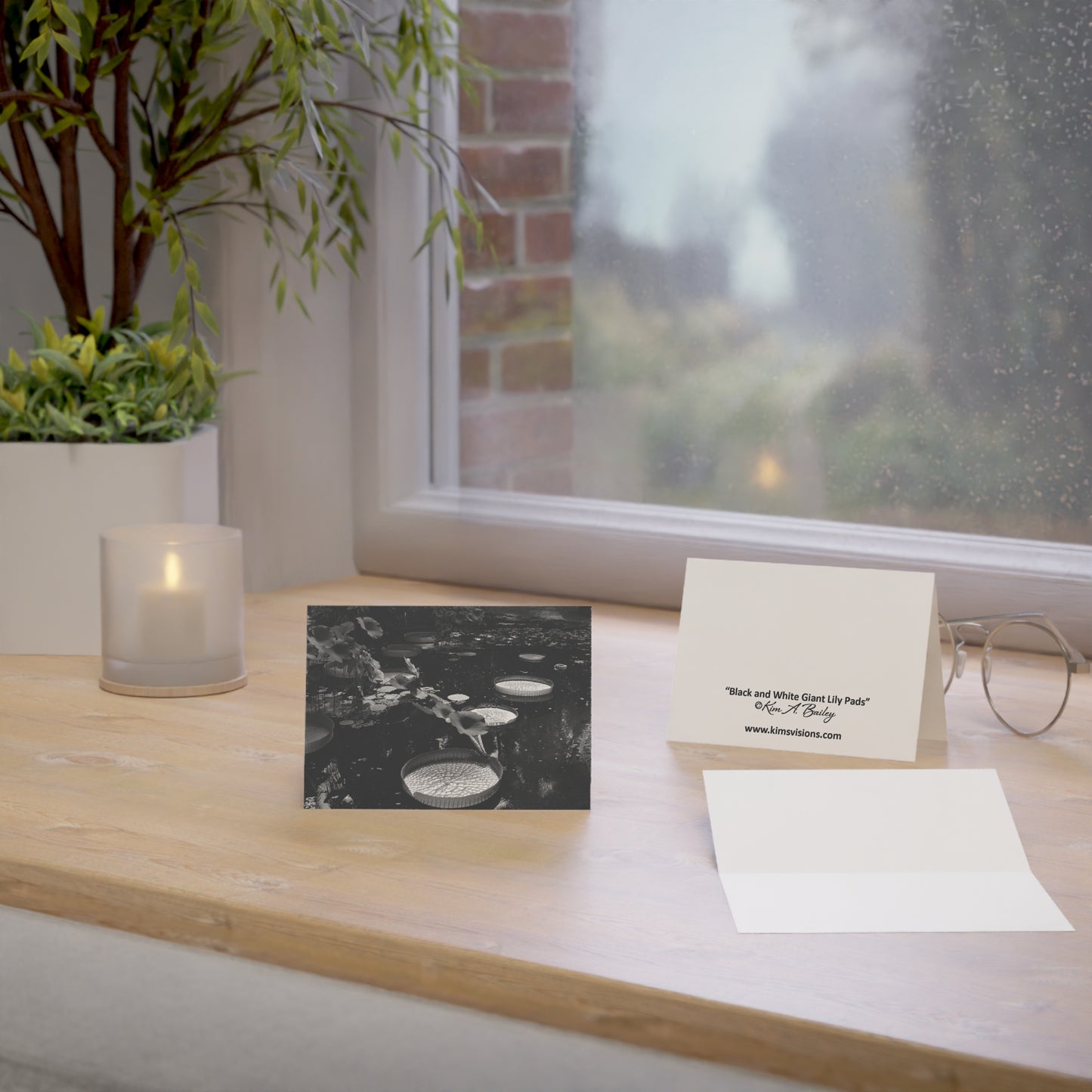 Blank Photo Note Cards, "Giant Water Lily Pads" a Black and White Photograph by Kim A. Bailey