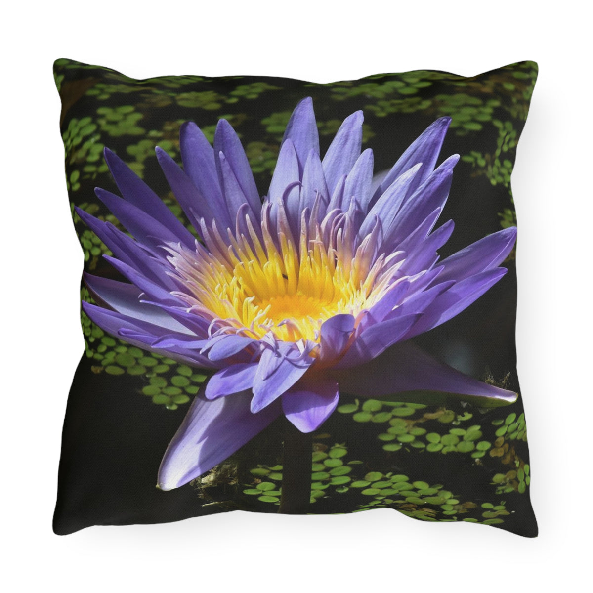 Water Lily Outdoor Pillow by Kim A. Bailey - Choice of 4 sizes