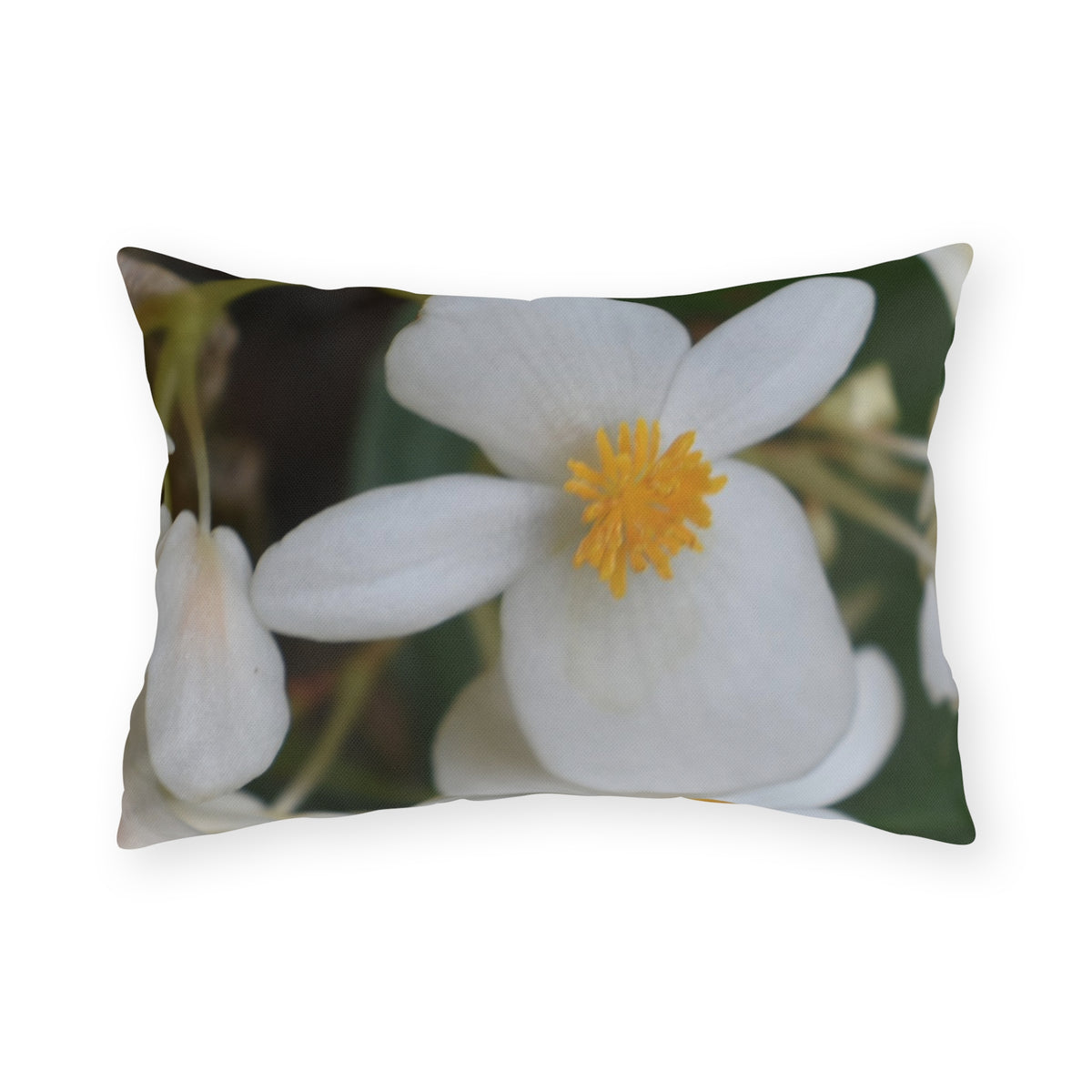 Outdoor Pillow "White Begonias" Choice of 4 sizes