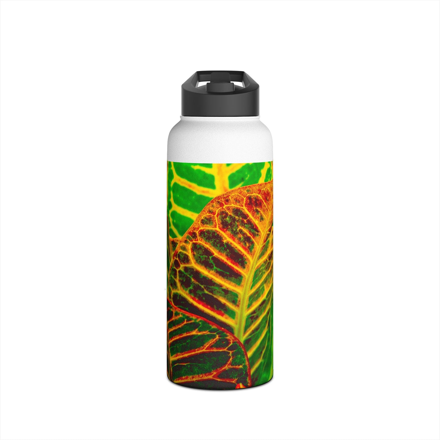 Stainless Steel Water Bottle, 3 Sizes Available "Green Croton Leaf" Photograph by Kim A. Bailey
