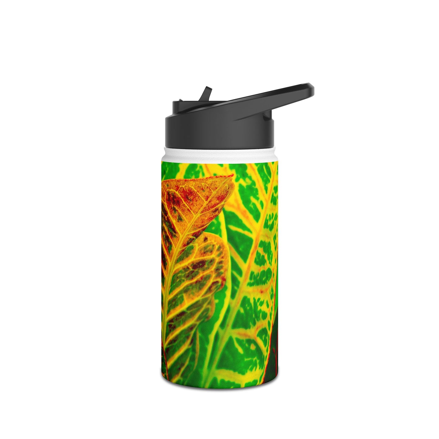 Stainless Steel Water Bottle, 3 Sizes Available "Green Croton Leaf" Photograph by Kim A. Bailey