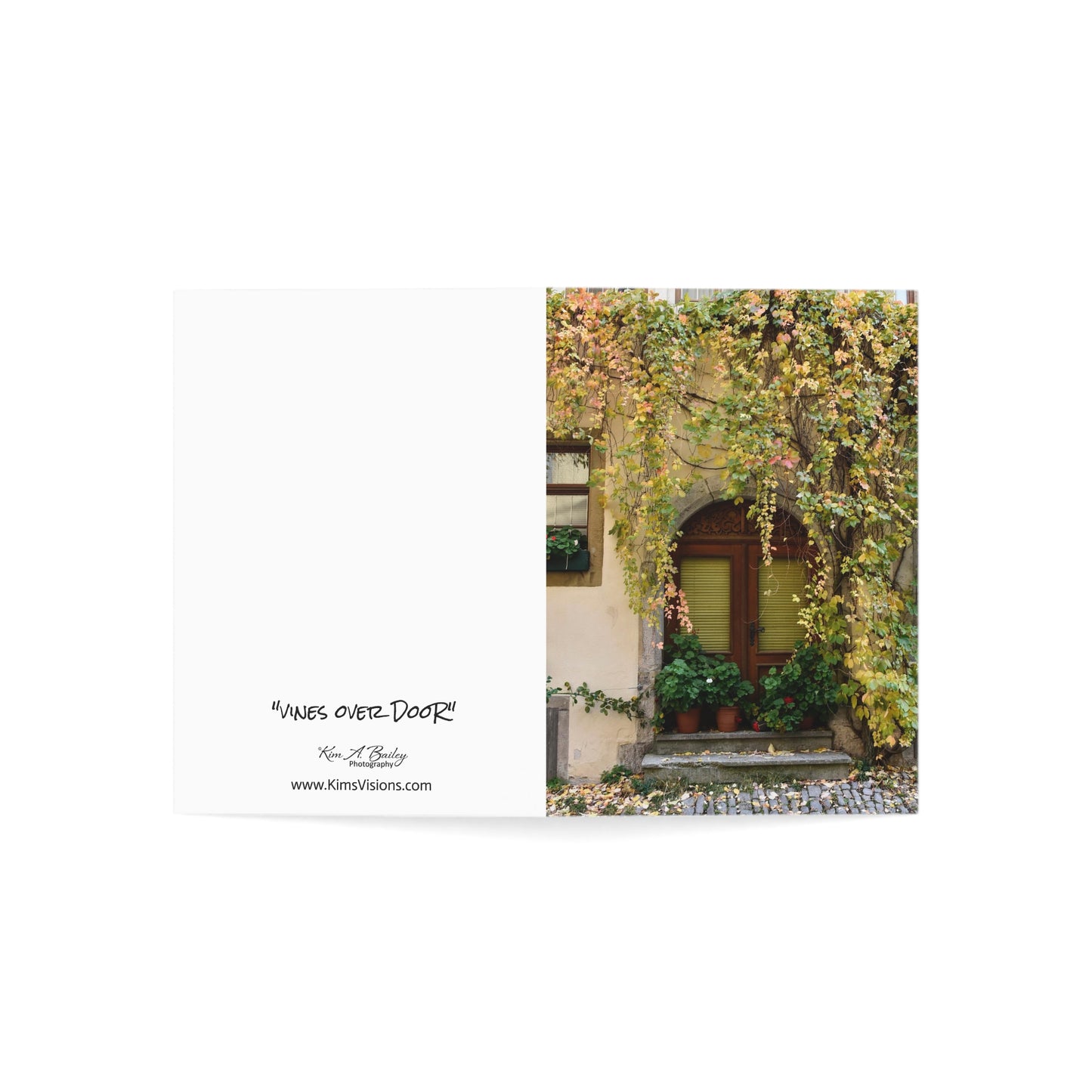 Vines over Door Photograph Note Cards (1, 10, 30, or 50 pcs.)