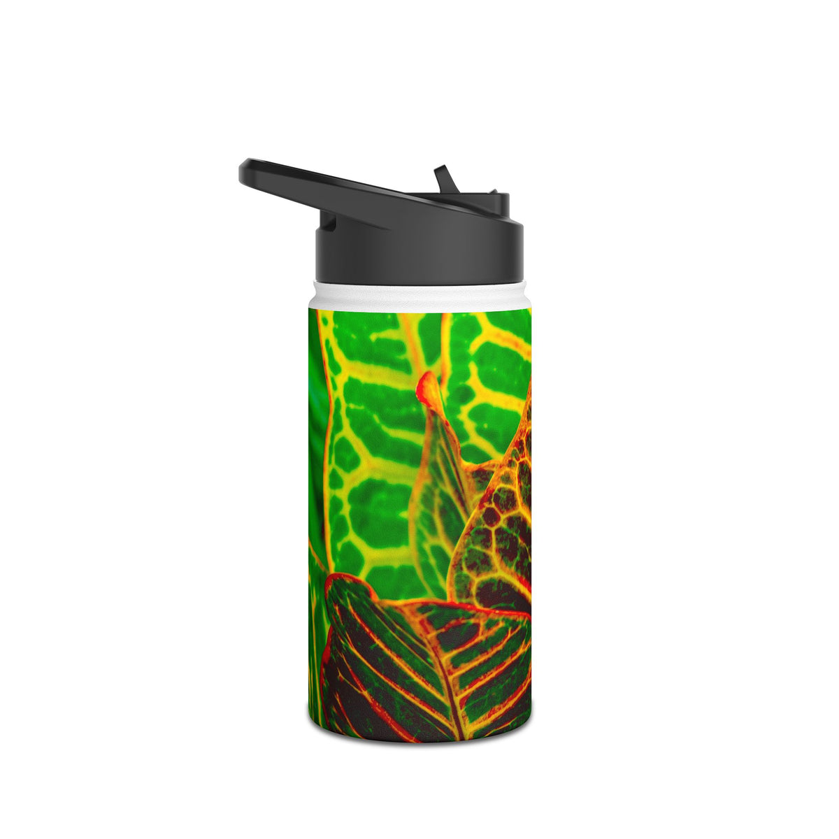 Stainless Steel Water Bottle, 3 Sizes Available "Green Croton Leaf"