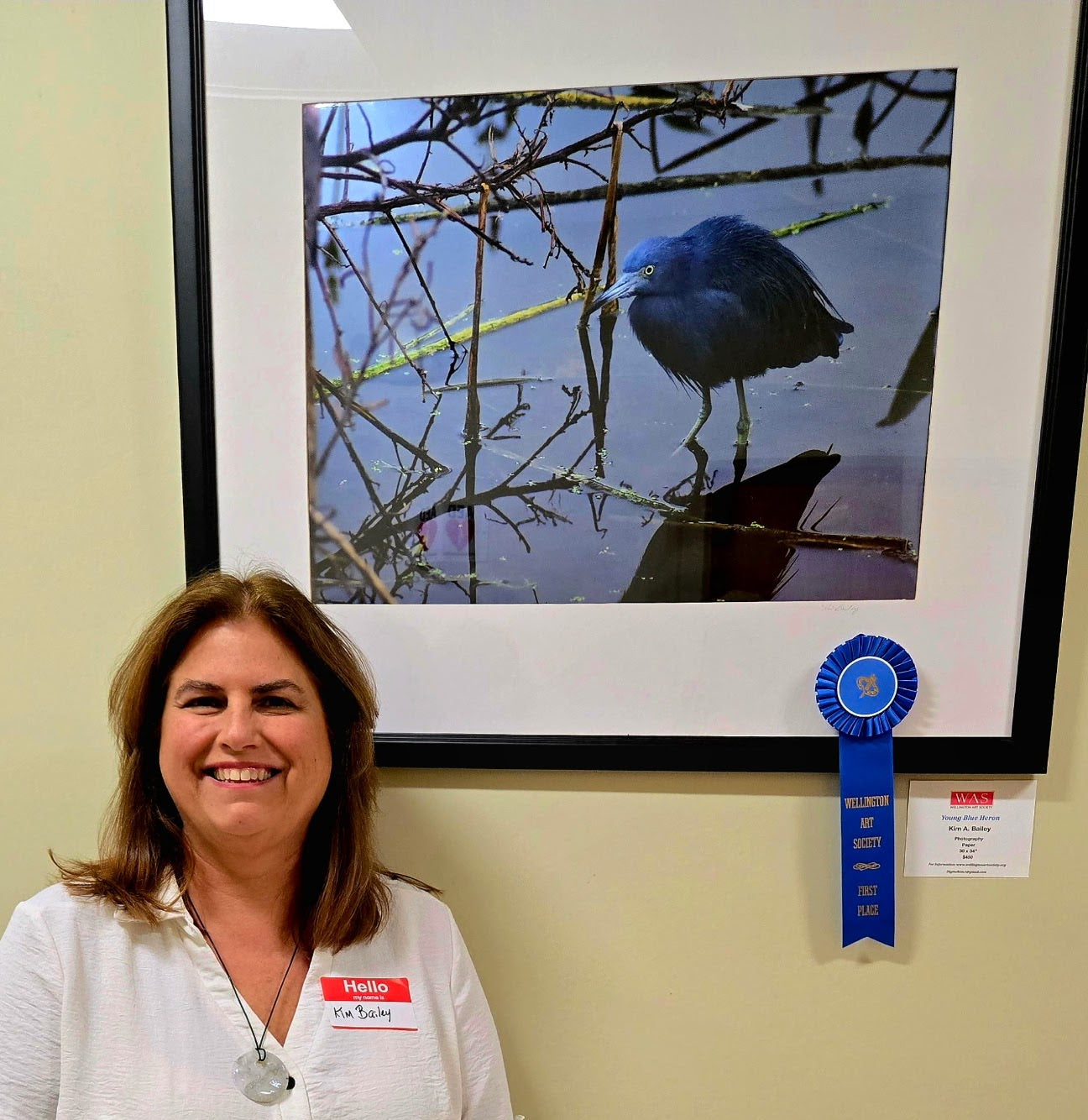 1st Place Winning Photograph at WAS Show 2025. Young Blue Heron