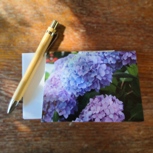 Blank Note Cards, "Blue Hydrangeas" Photograph by Kim A. Bailey (1, 10, 30, or 50 pcs.)