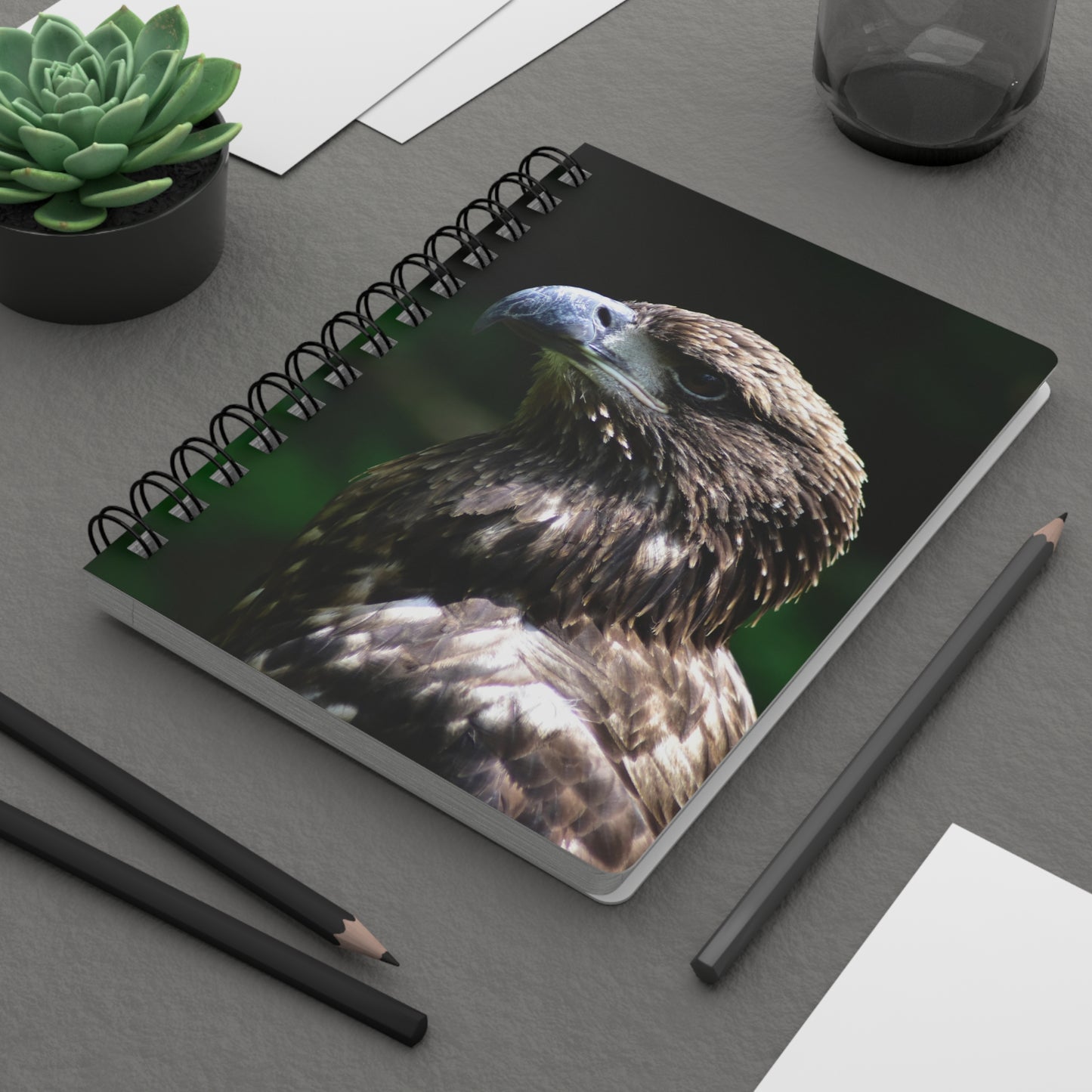 Young American Bald Eagle Spiral Notebook - Ruled Line Photo By Kim A. Bailey