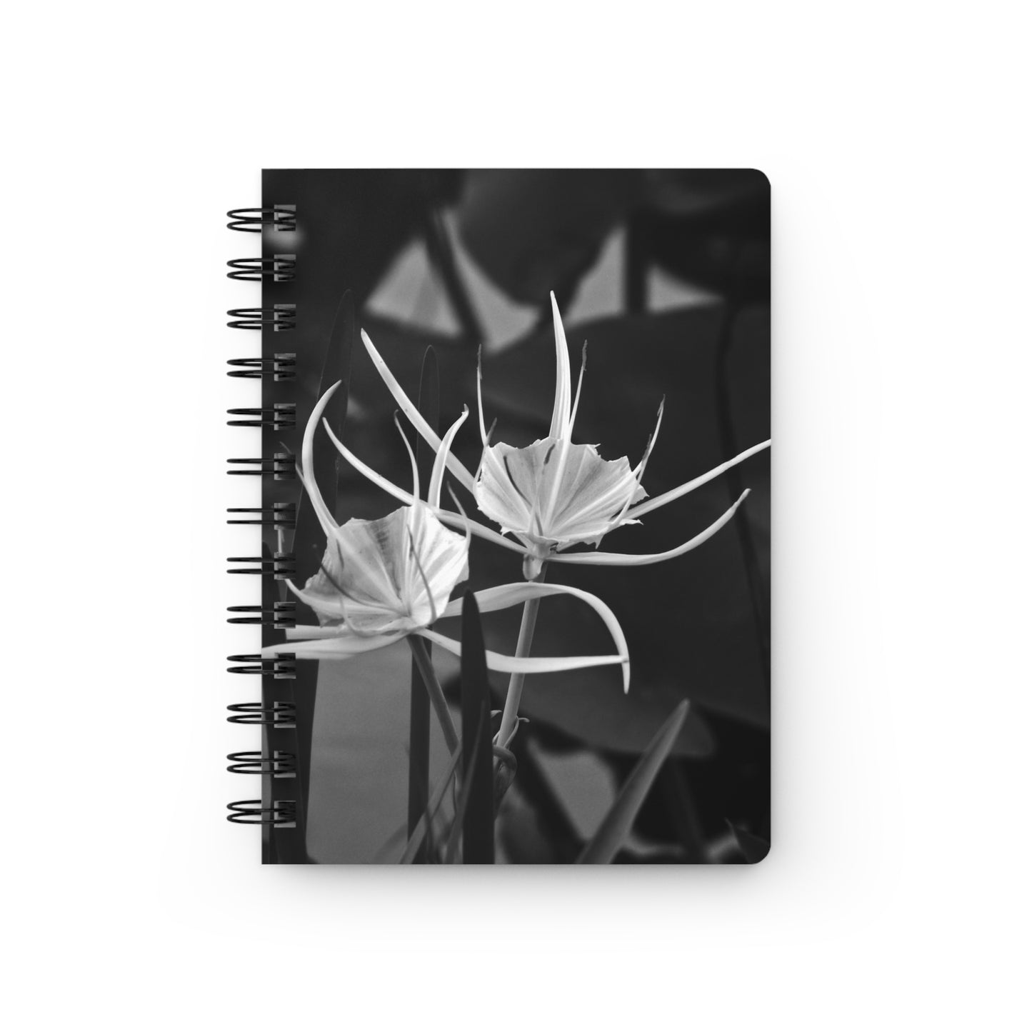 Classic Black & White Spiral Journal "Alligator Lily" by Kim A. Bailey