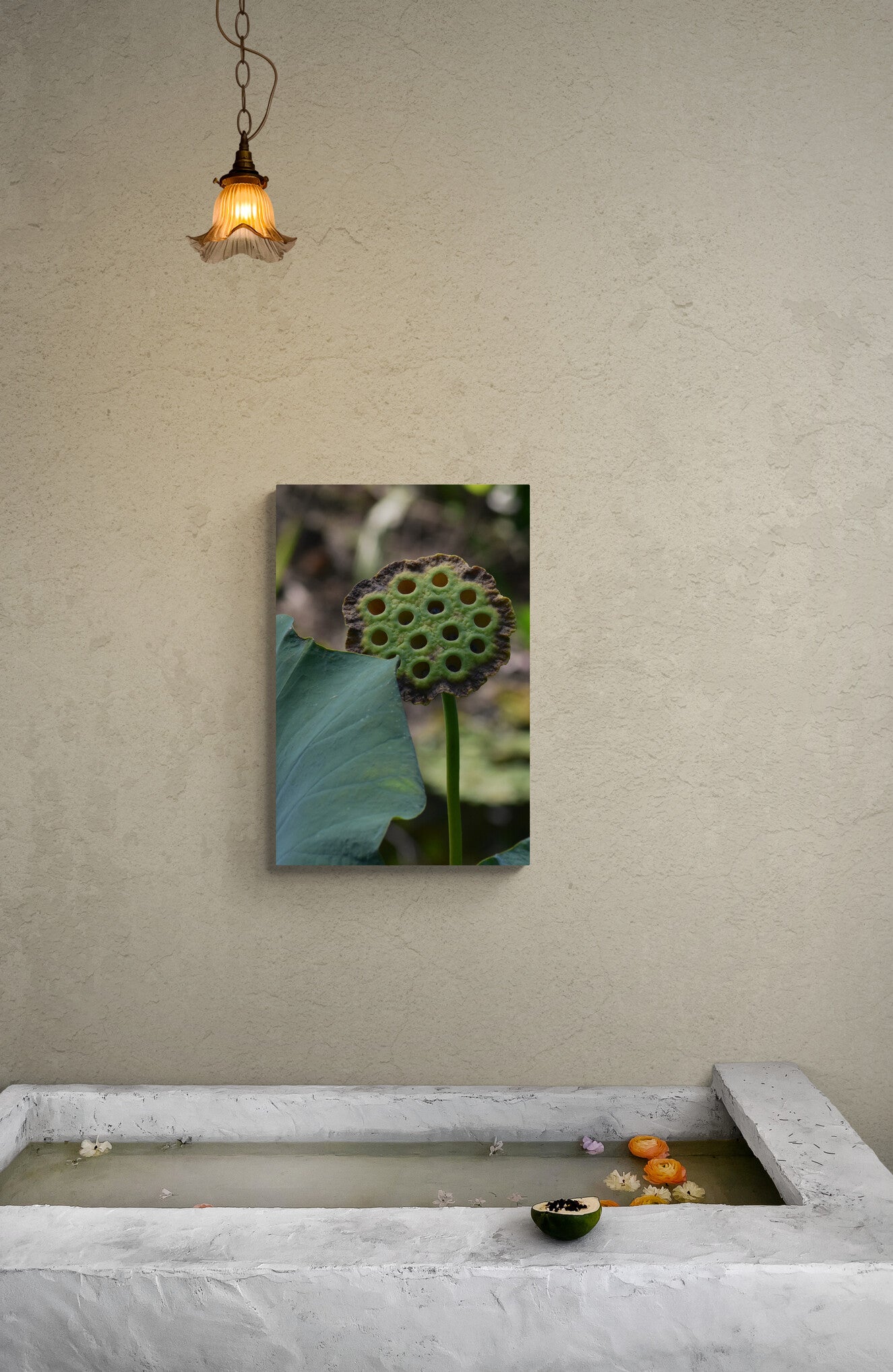 Lotus Flower Seed Pod image 4