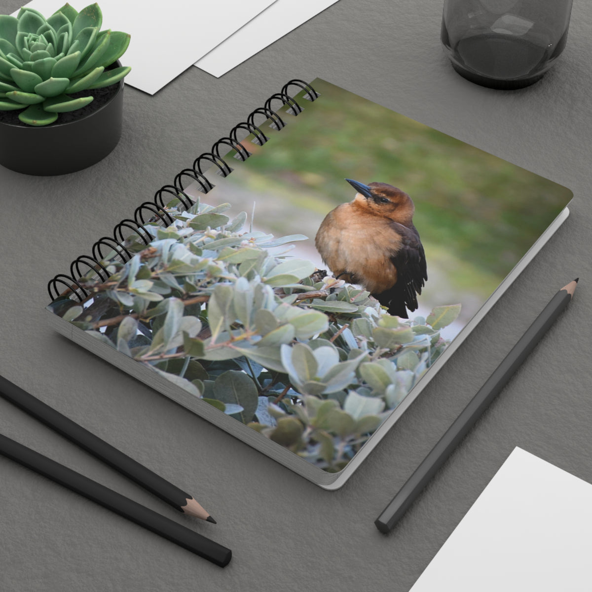 Spiral Notebook "Boat-Tailed Grackle" Photograph by Kim A. Bailey
