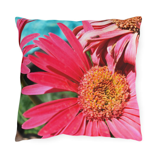 Outdoor Pillow "Pink Daisies" Photograph by Kim A. Baile - Choice of 4 sizes