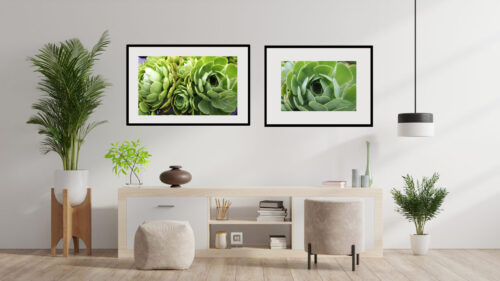 Green Succulent Cluster Original Photograph by Kim A. Bailey