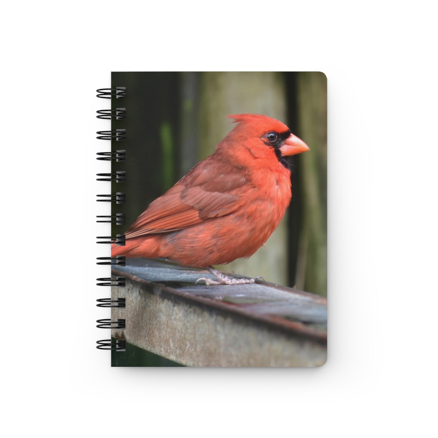 Red Cardinal Spiral Notebook - Ruled Line Photo By Kim A. Bailey
