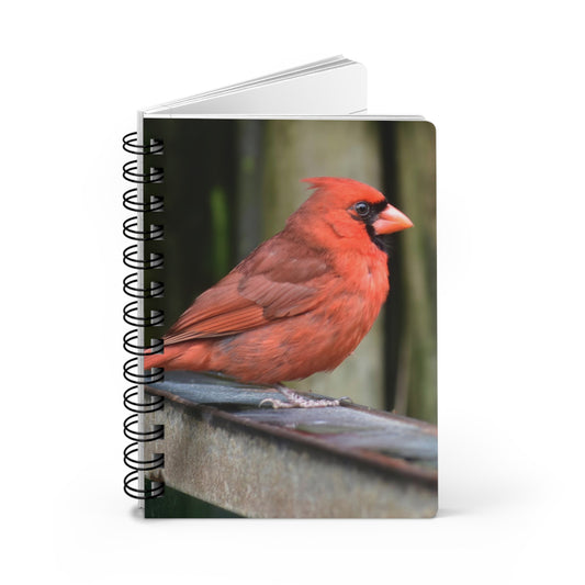 Red Cardinal Spiral Notebook - Ruled Line Photo By Kim A. Bailey