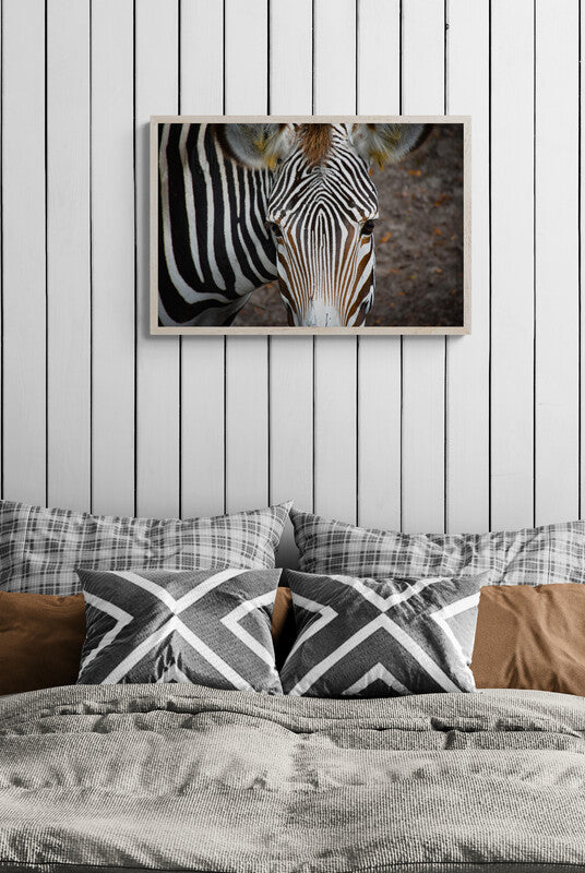 Zebra Face image 4