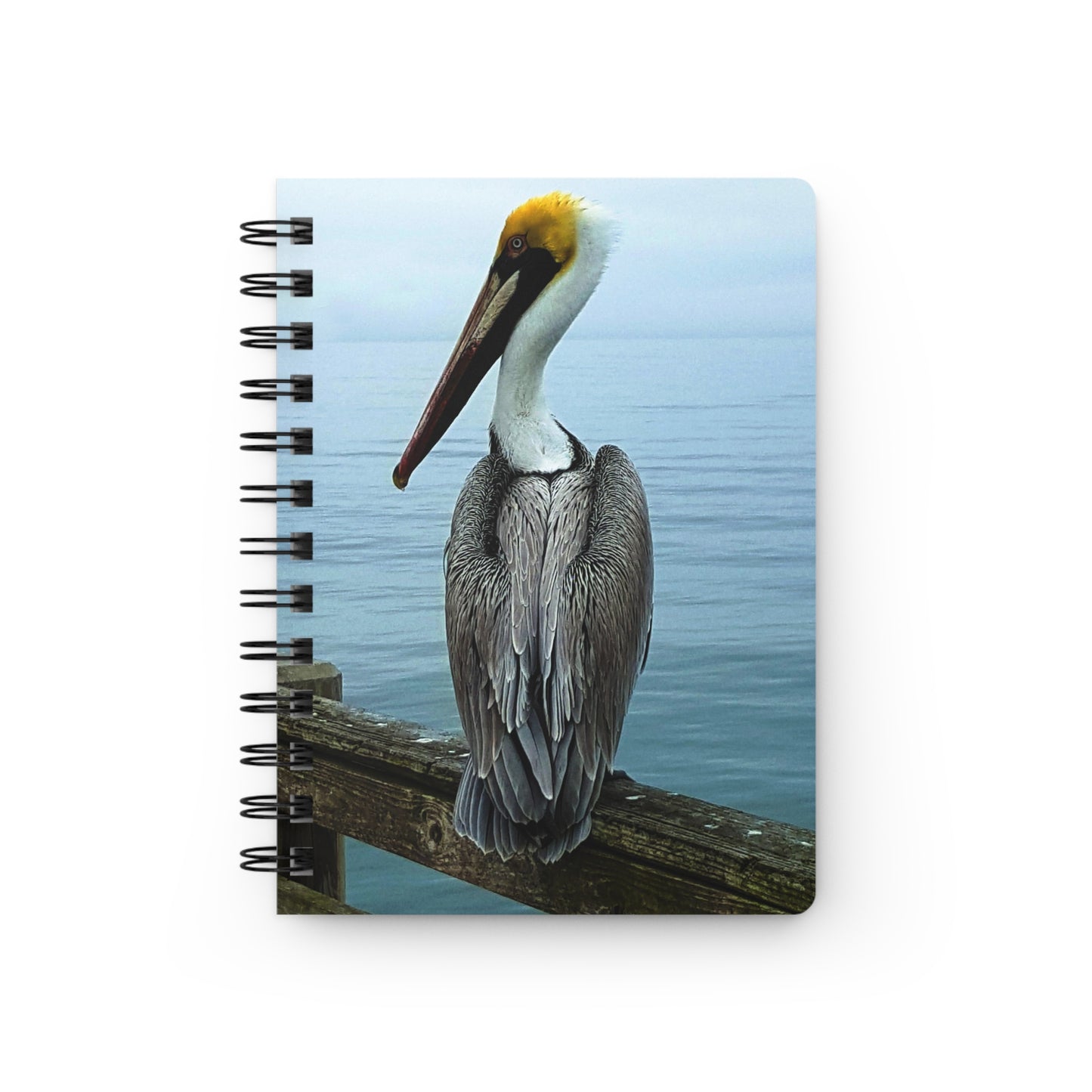 Spiral Notebook - Ruled Line - "Pelican" by Kim Bailey