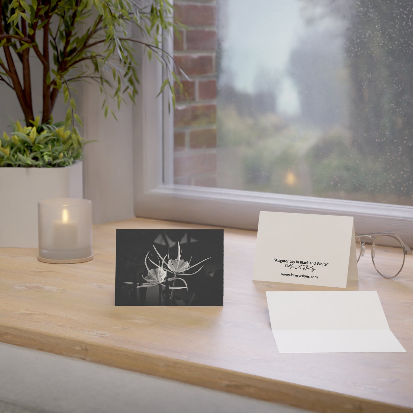 Blank Photo Note Cards, "Alligator Lily" a Black and White Photograph by Kim A. Bailey