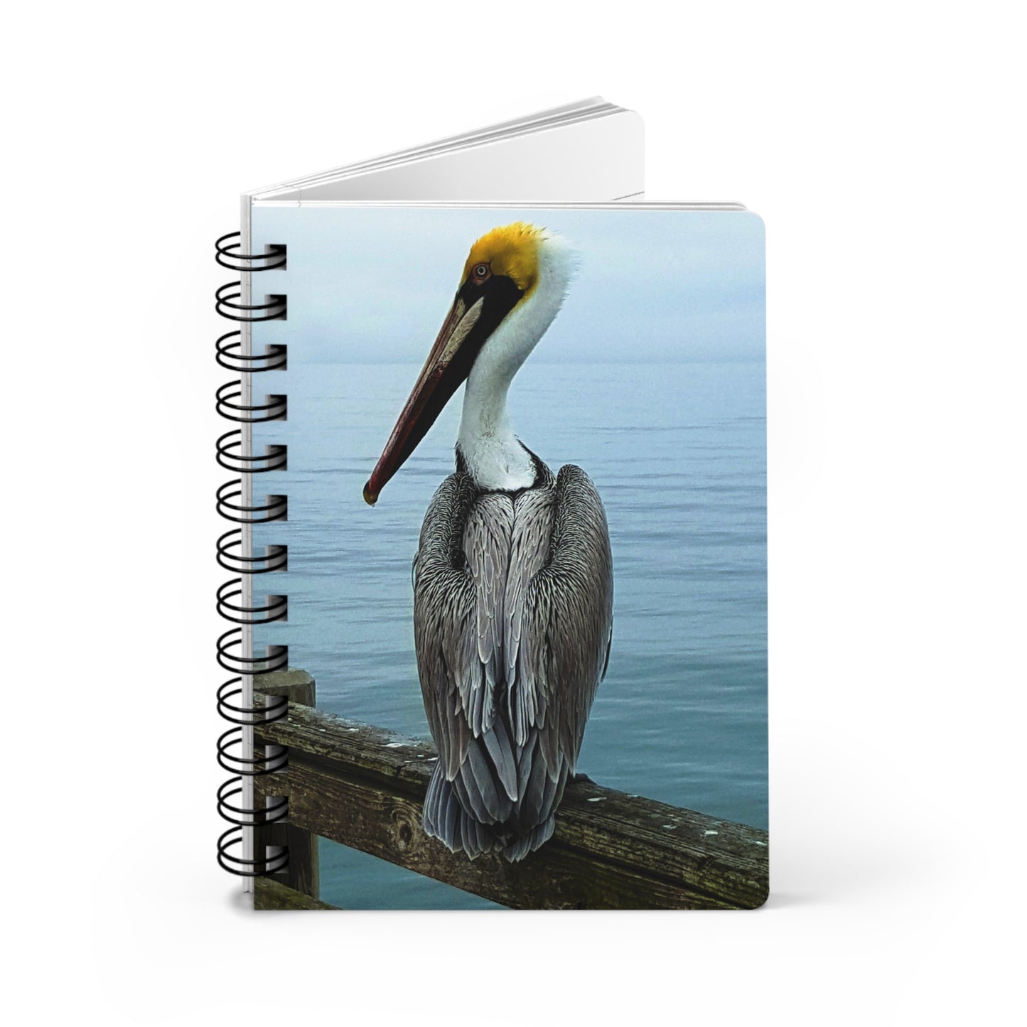 Spiral Notebook - Ruled Line - "Pelican" by Kim Bailey