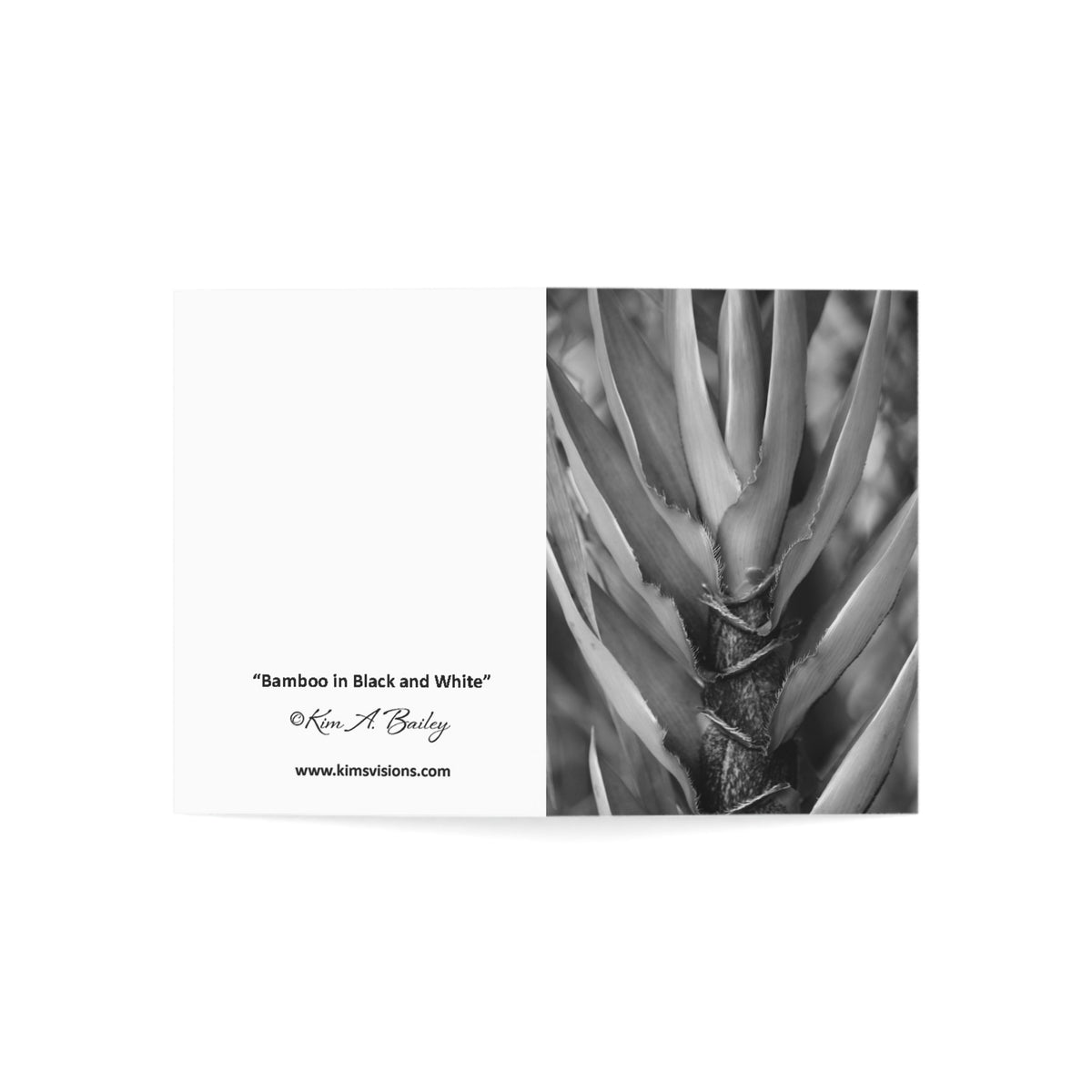 Note Cards "B/W Bamboo" by Kim A. Bailey (1, 10, 30, and 50 pcs.)