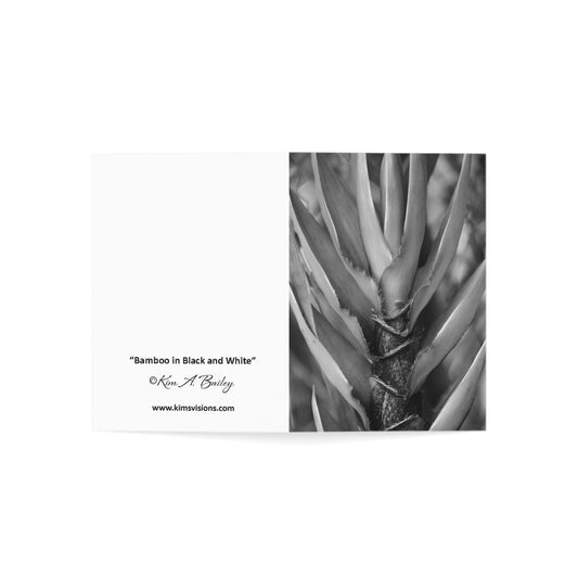 Photograph Note Cards (1, 10, 30, and 50 pcs.), "B/W Bamboo" by Kim A. Bailey
