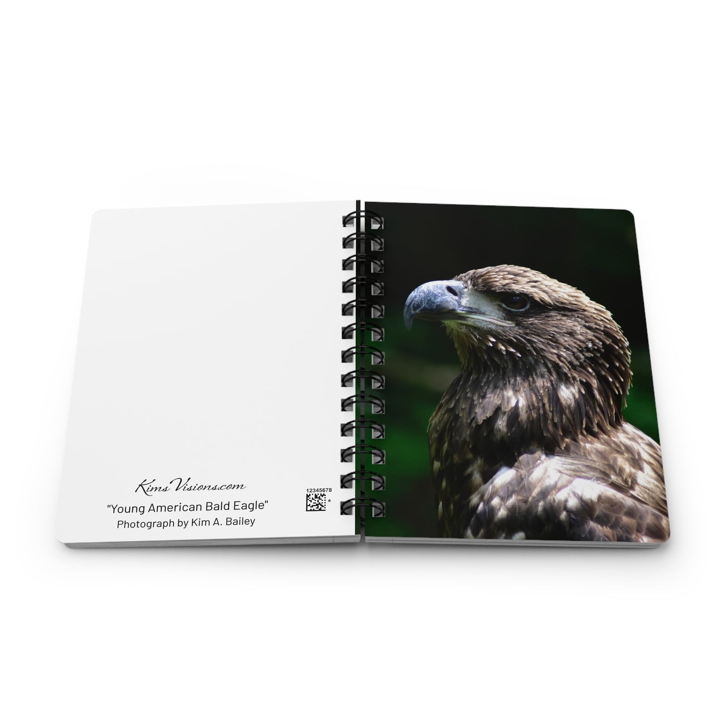 Young American Bald Eagle Spiral Notebook - Ruled Line Photo By Kim A. Bailey