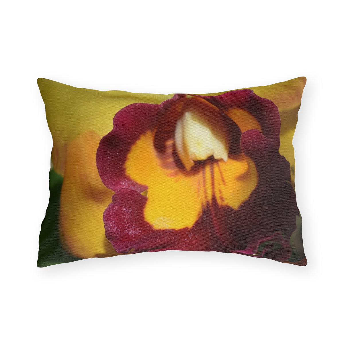 Cattleya Orchid Outdoor Pillow by Kim A. Bailey - Choice of 4 sizes