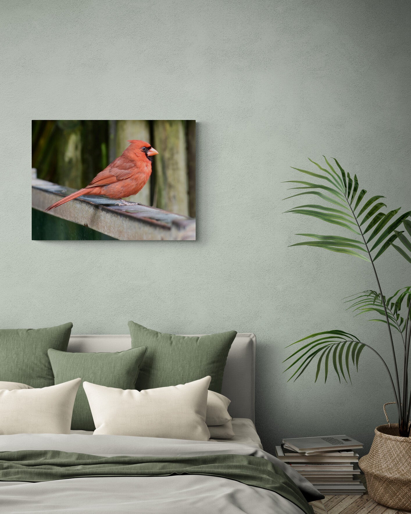 Male Red Cardinal image 5