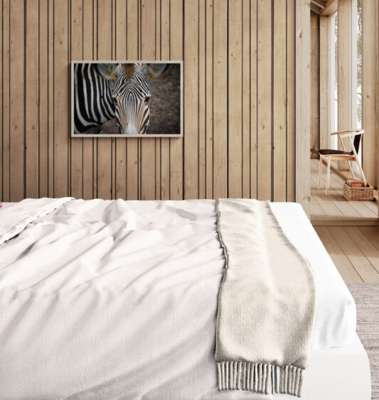 Zebra Face image 2