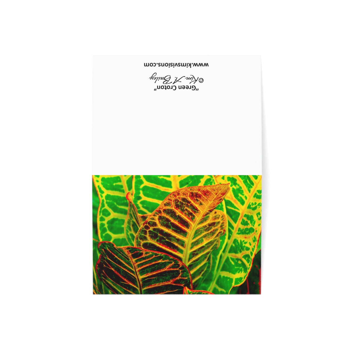 Blank Note Cards, "Green Croton" Photograph by Kim A. Bailey (1, 10, 30, or 50 pcs.)