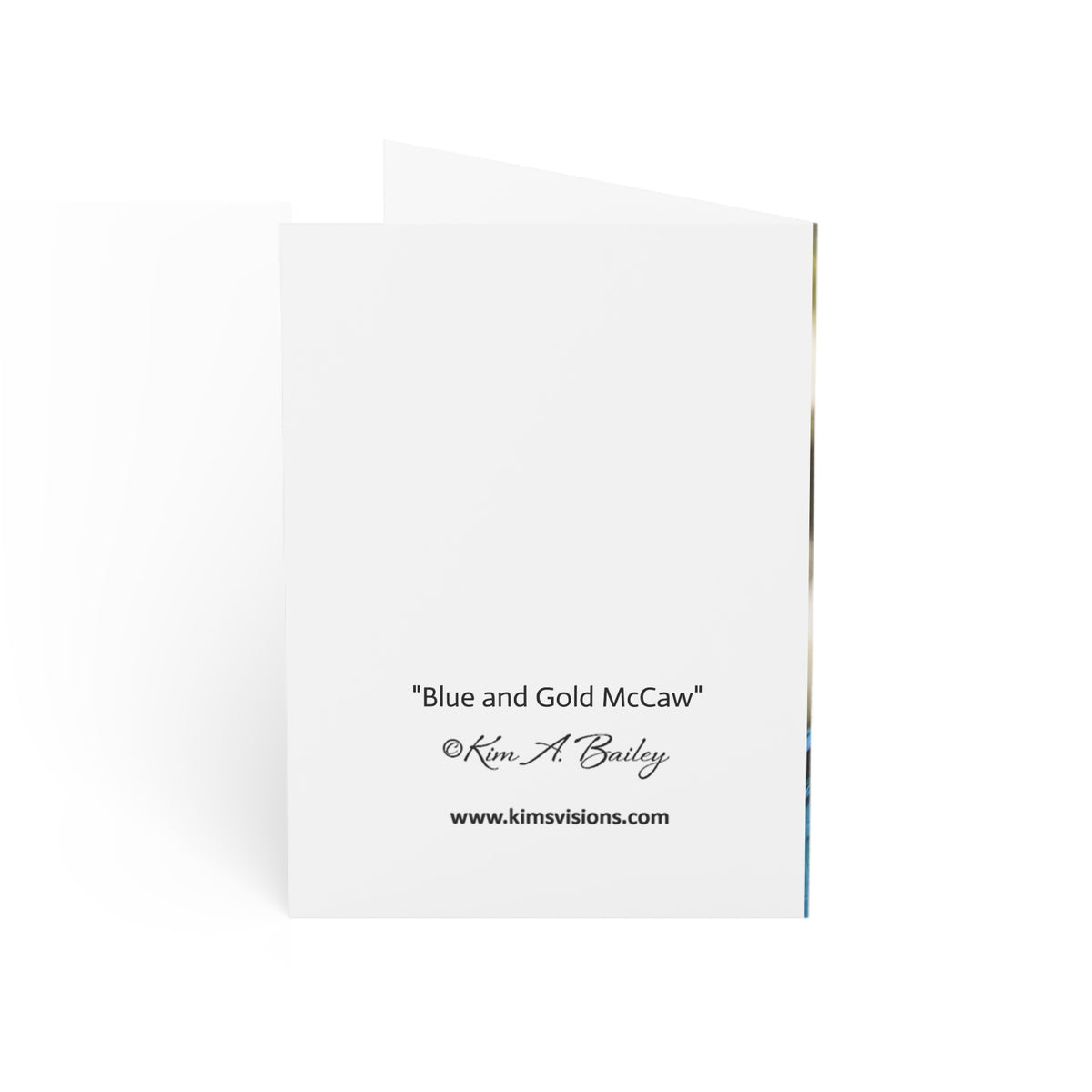 Note Cards "Blue and Gold Macaw" by Kim A. Bailey (1, 10, 30, and 50 pcs.)