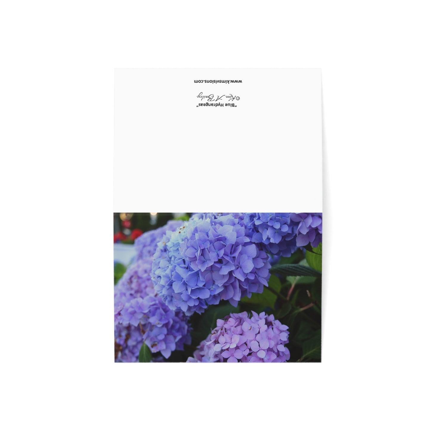 Blank Note Cards, "Blue Hydrangeas" Photograph by Kim A. Bailey (1, 10, 30, or 50 pcs.)