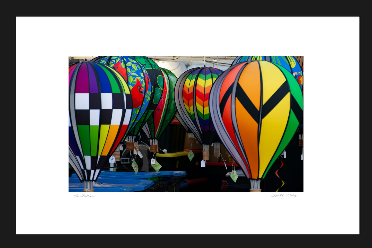Balloon Garden Party
