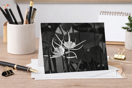 Blank Note Cards, "Alligator Lily" a Black and White Photograph by Kim A. Bailey (1, 10, 30, or 50 pcs.)