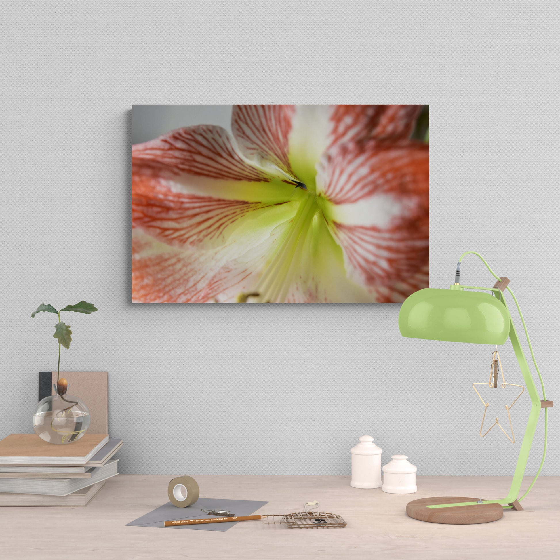 Amaryllis, Original Photograph by Kim A. Bailey
