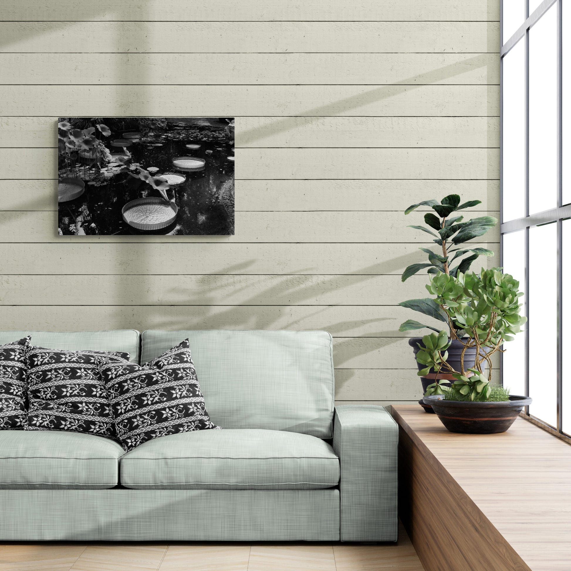 Black and White Giant Lily Pads, Original Photograph by Kim A. Bailey