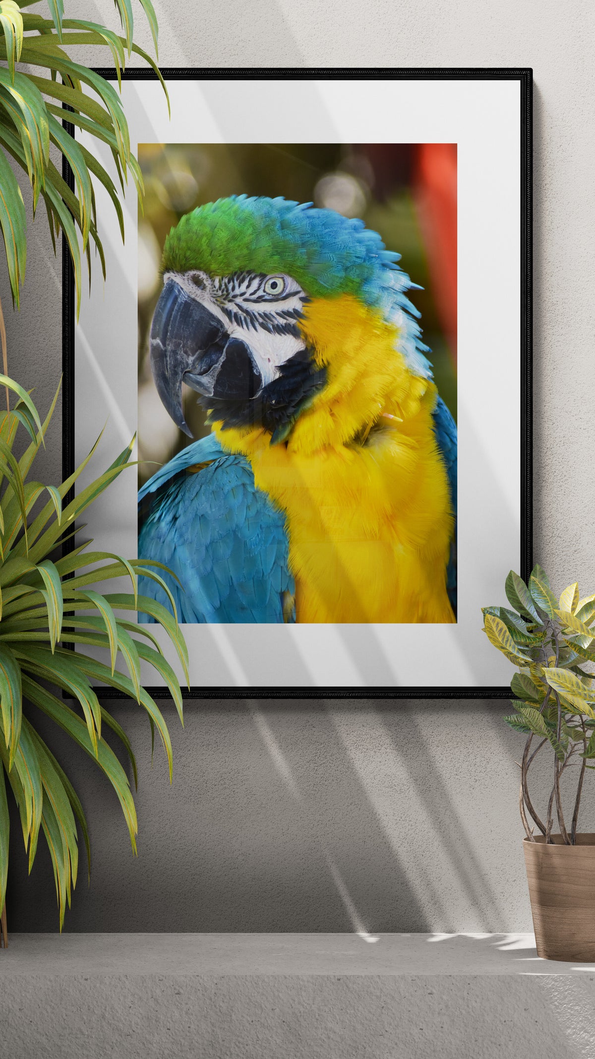 A framed wall art print featuring a close-up photograph of a blue-and-yellow macaw, displayed on a gray wall between potted green plants.