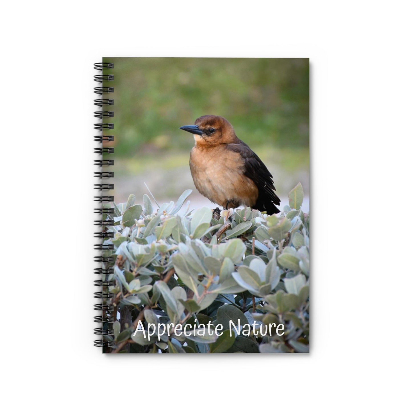 A spiral notebook with a photograph of a Boat-Tailed Grackle bird on the cover, with the text 'Appreciate Nature' printed at the bottom.