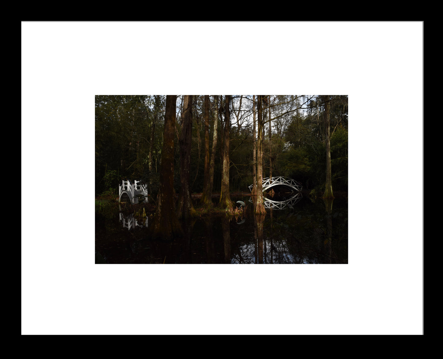 Bridges at Magnolia Gardens, Original Photograph by Kim A. Bailey