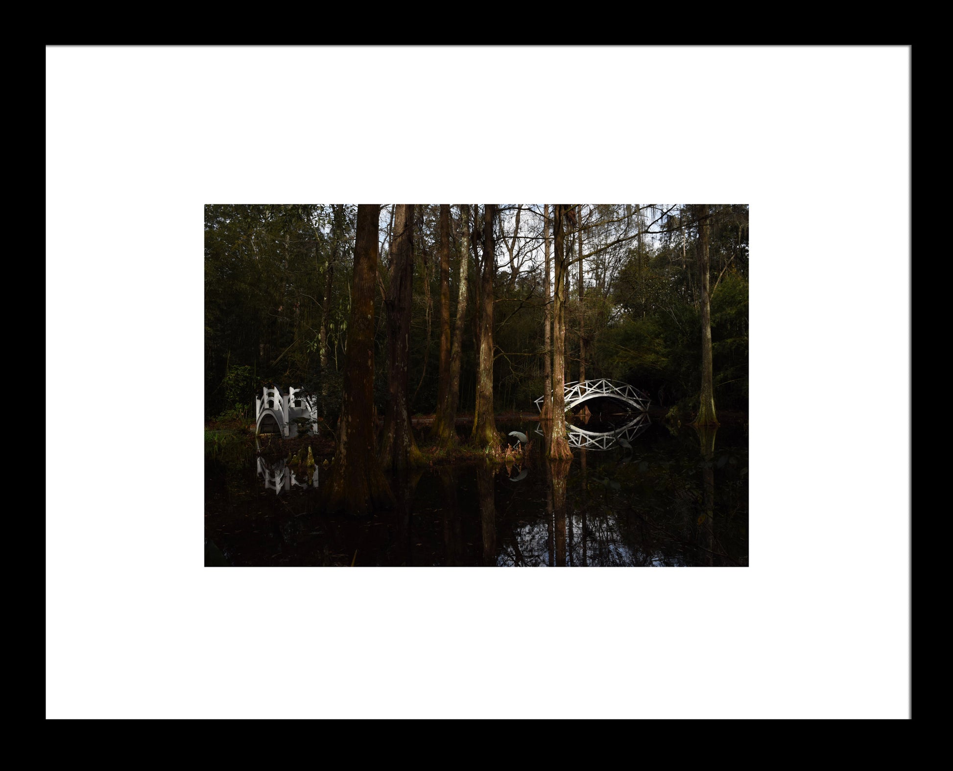 Bridges at Magnolia Gardens, Original Photograph by Kim A. Bailey