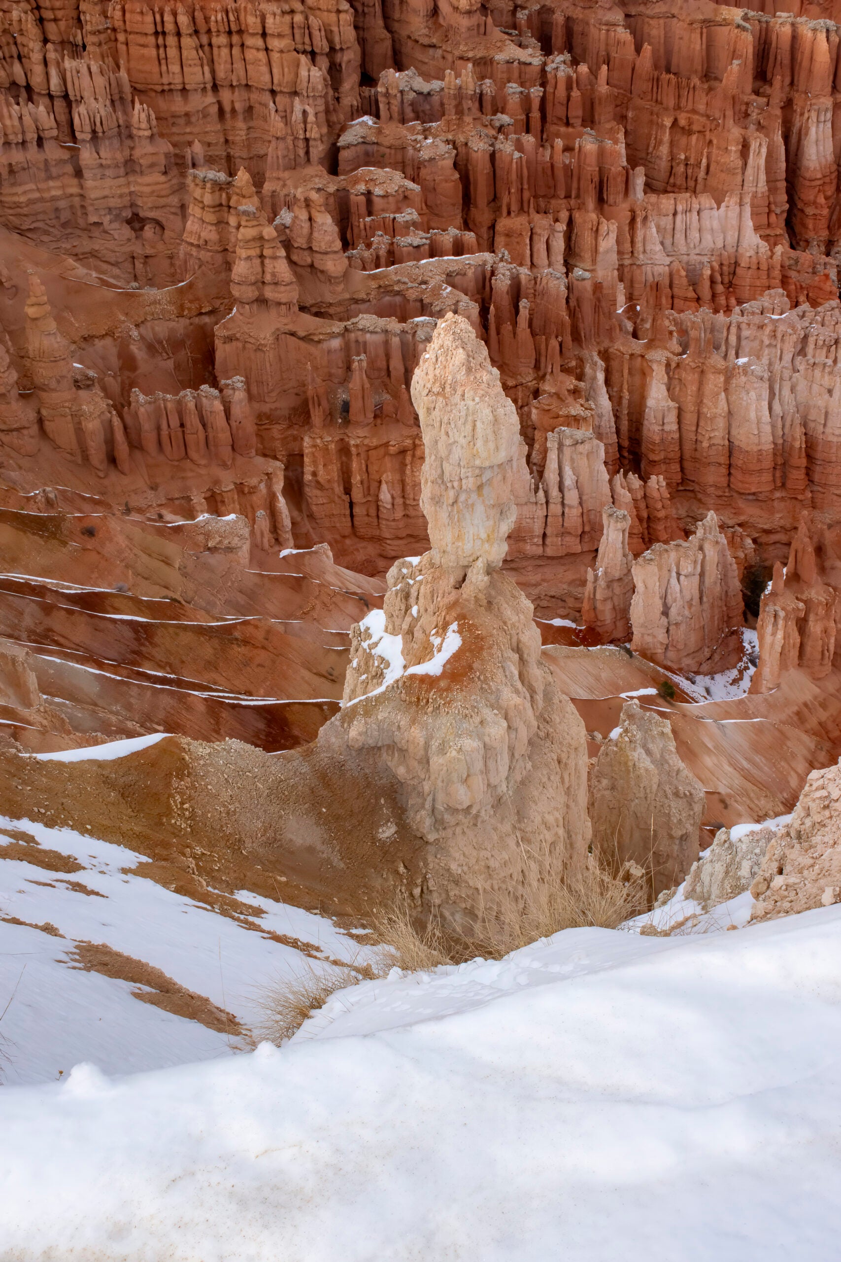 Bryce-Canyon-after-Snow Original Photograph by Kim A. Bailey