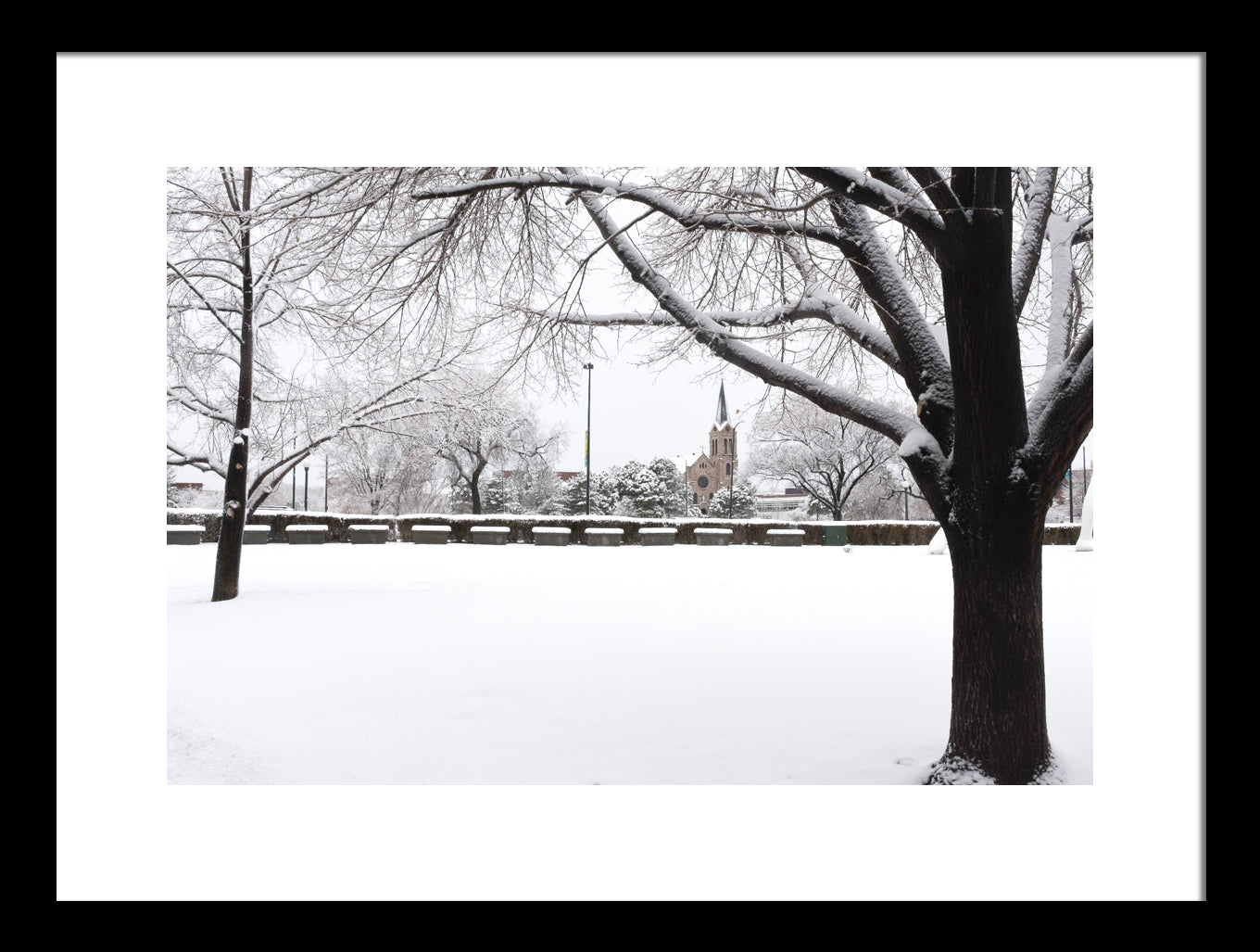 Snowy landscape with trees and a building in the distance