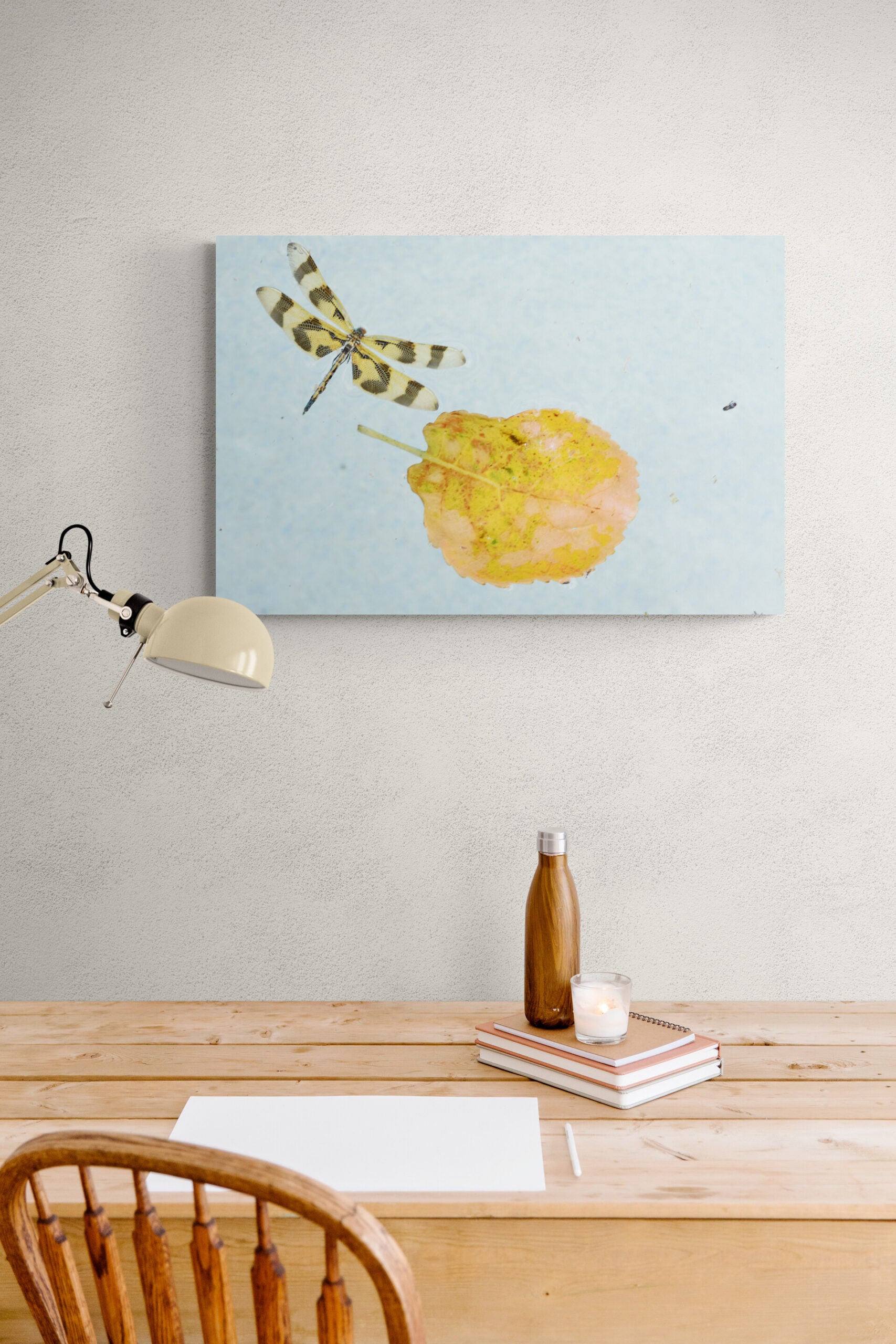 Dragonfly and Leaf, Original Photograph by Kim A. Bailey