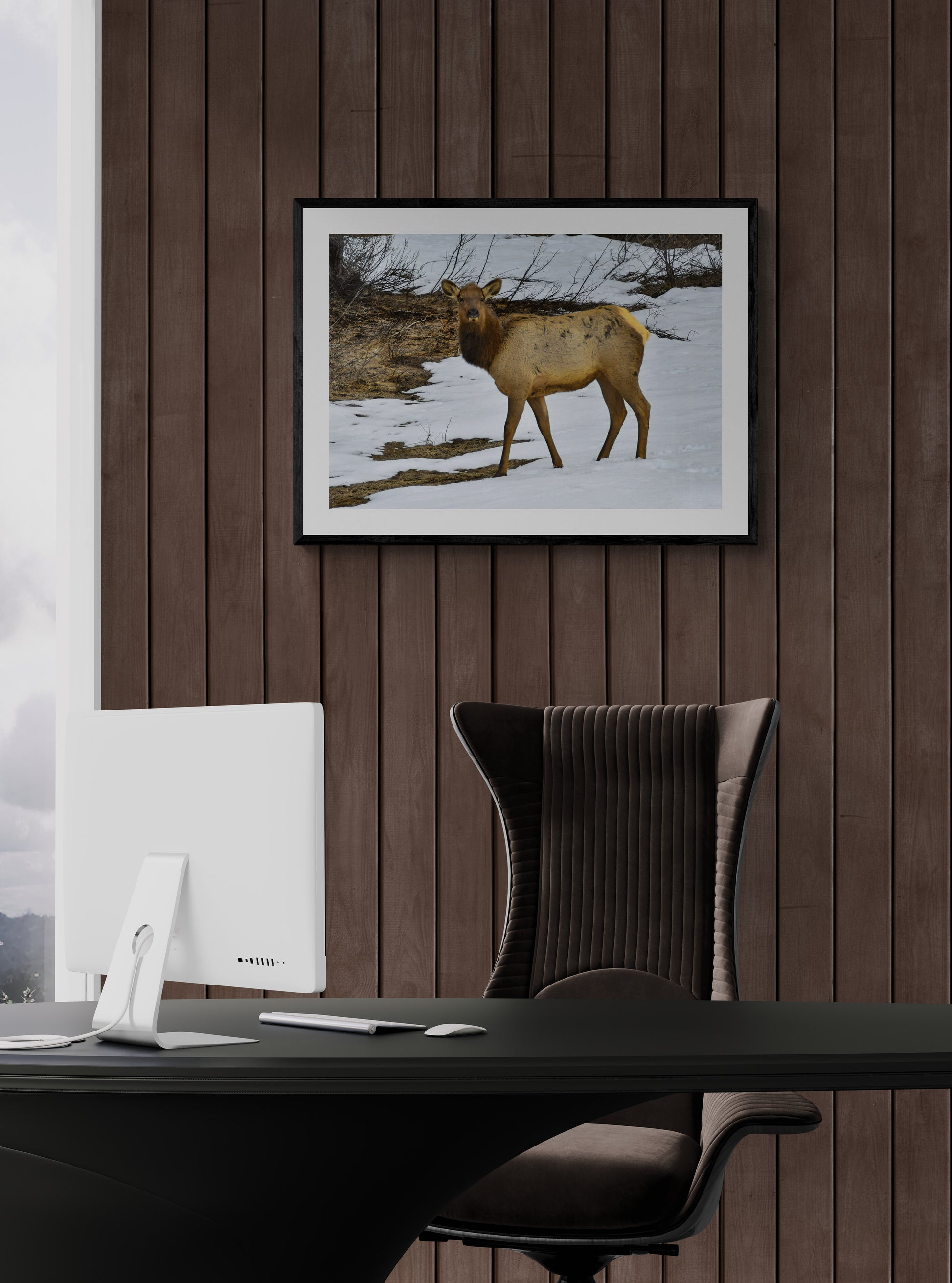 Framed picture of a deer on a wooden wall above a desk with a chair.