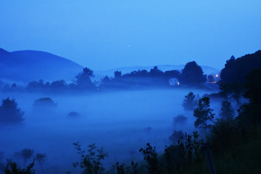 Fog Over Seneca