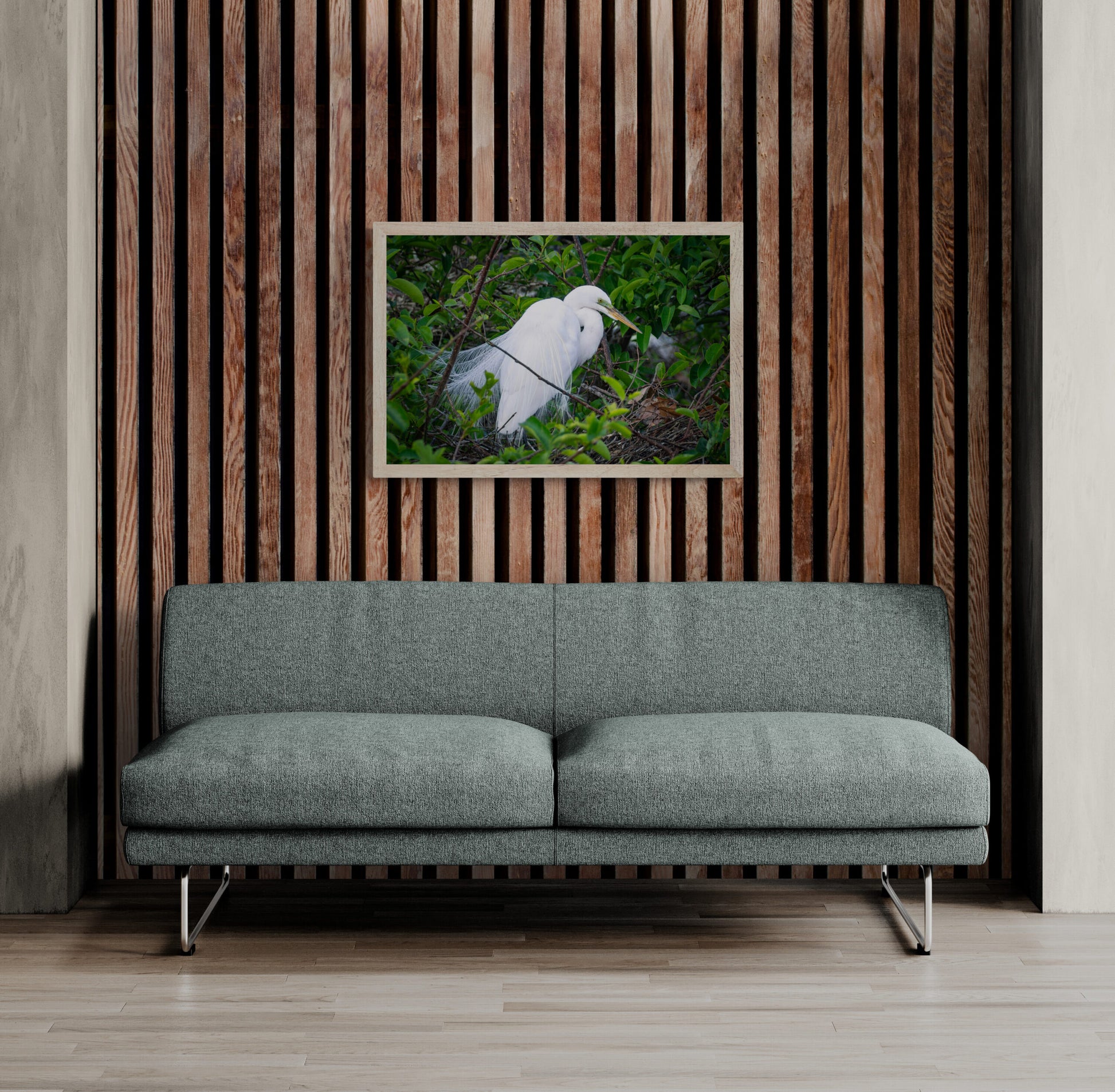 Great_White_Heron_Original_Photograph_by_Kim_A._Bailey Hanging over a green mid century modern sofa