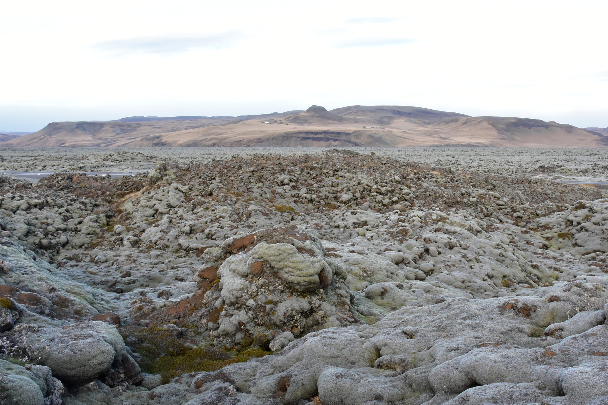 A landscape photograph featuring a field of lava rocks with patches of green moss, with a desolate and rugged terrain in the background.
