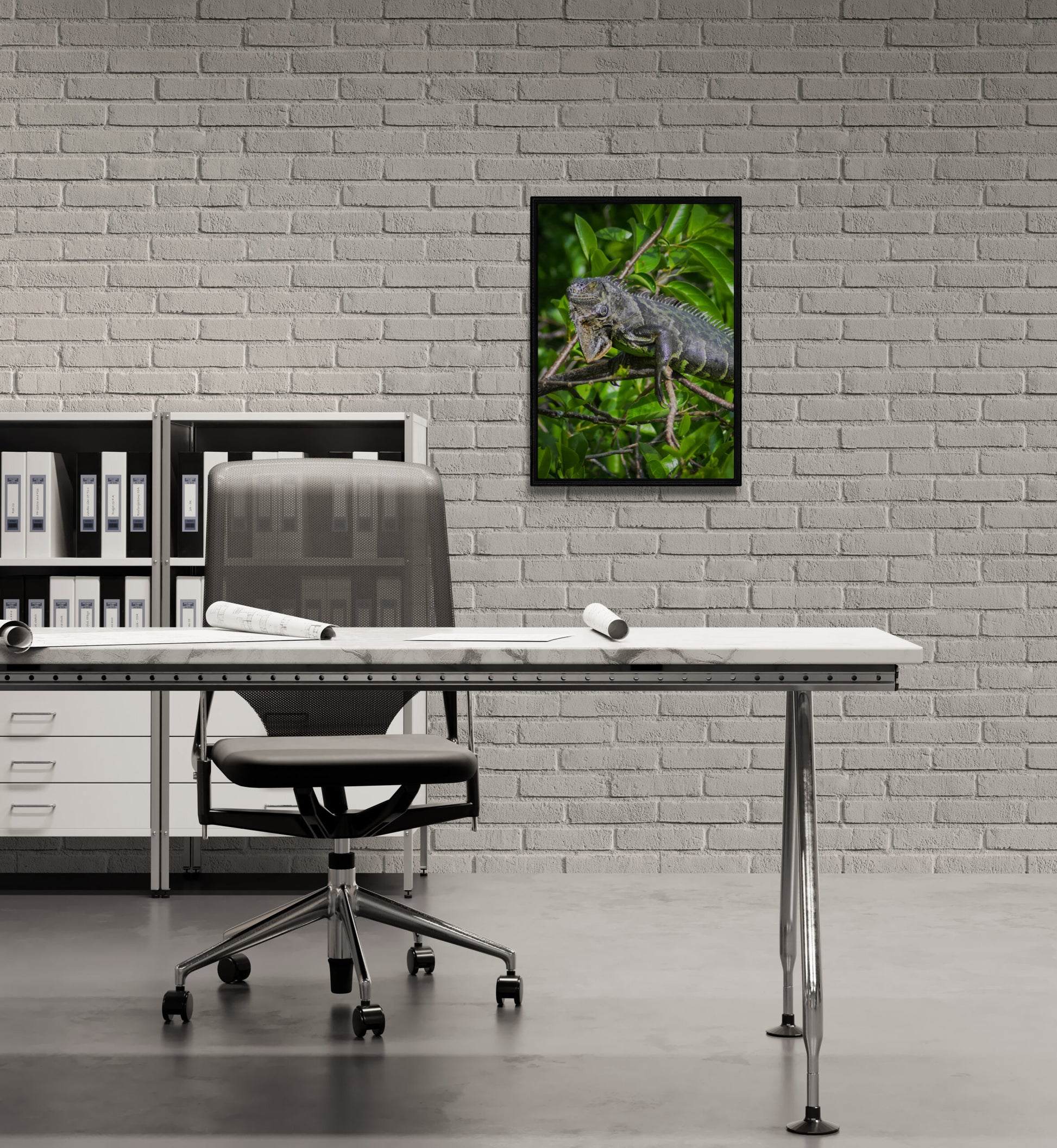 Green_Iguana_Original_Photograph_by_Kim_A._Bailey over a white desk